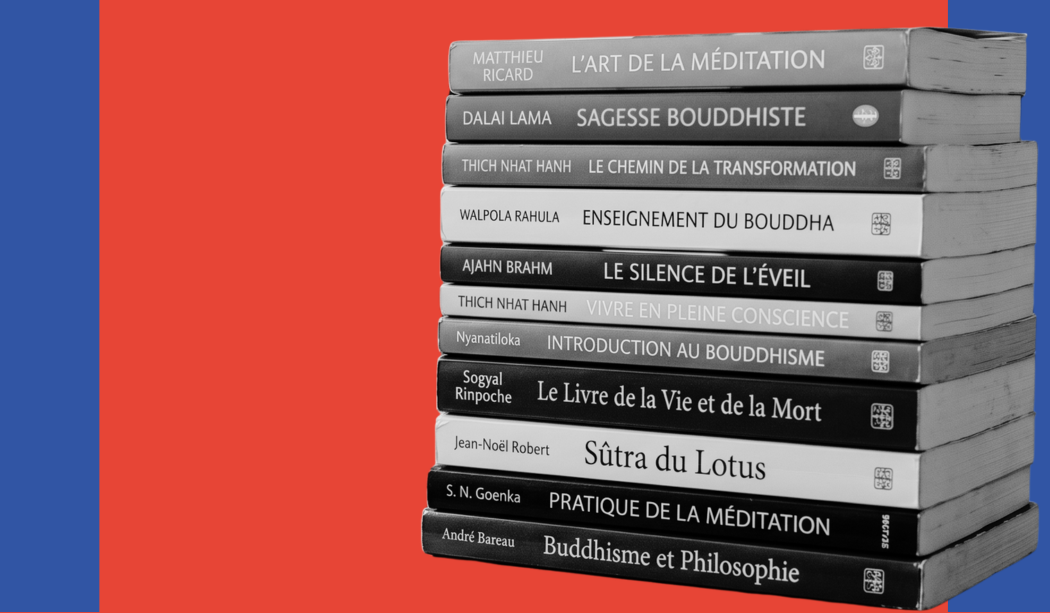 Libreria con libri in francese sul buddhismo, tra cui opere di Matthieu Ricard, Thich Nhat Hanh e testi sul Mahayana e la meditazione