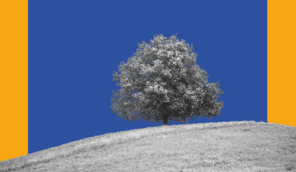 Visual dell’iniziativa “Meditazione, dialogo e pratiche di pace in tempi incerti”, con un albero su una collina come immagine simbolica