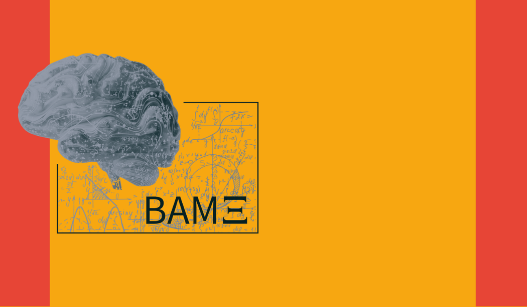 Bamberg Mathematical Consciousness Science Initiative